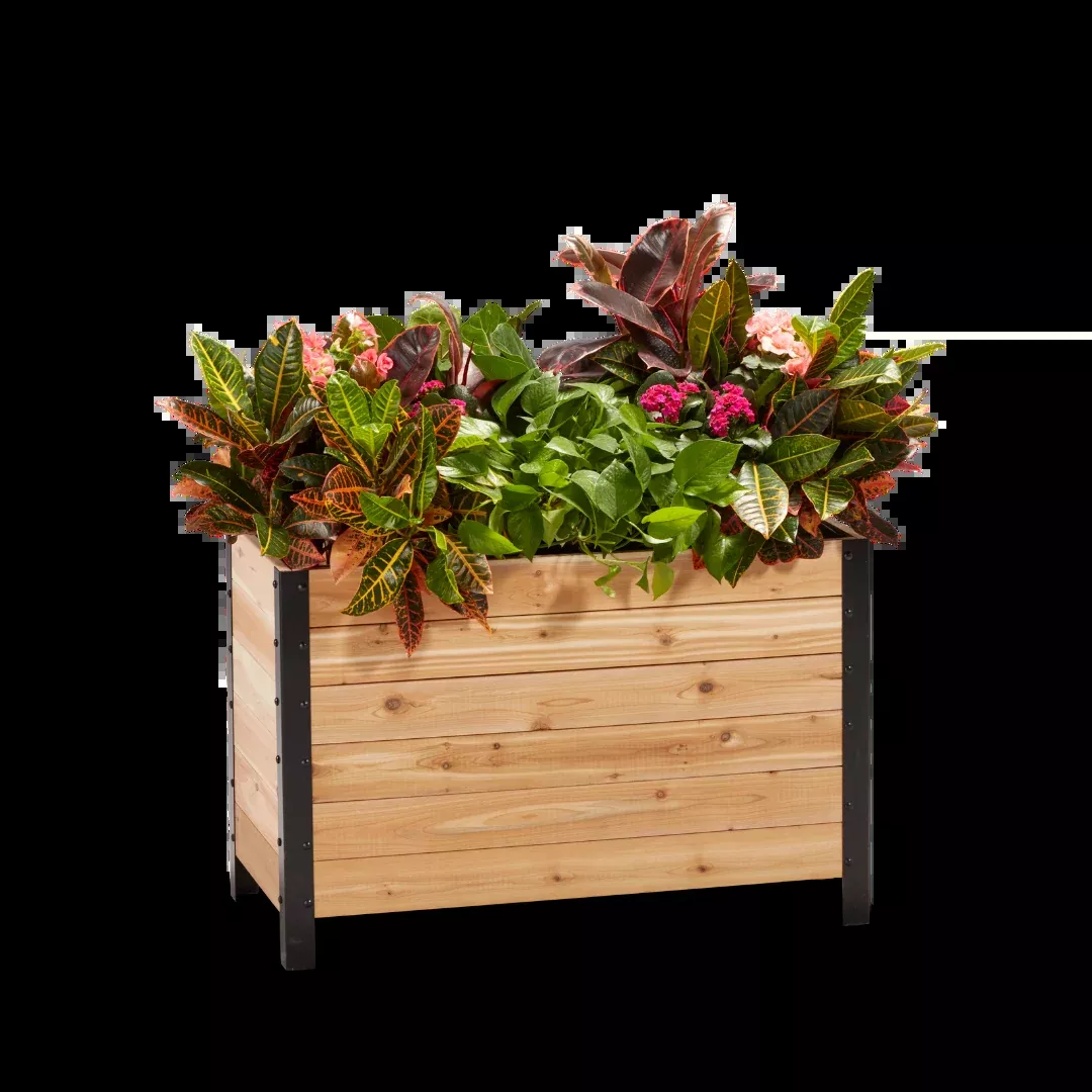 18" x 36" Planter Box - 24" TALL / Select Grade