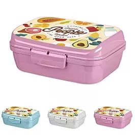 Bulk Bento Boxes – Assorted Lunch Boxes with Cartoon Print | 24 pcs