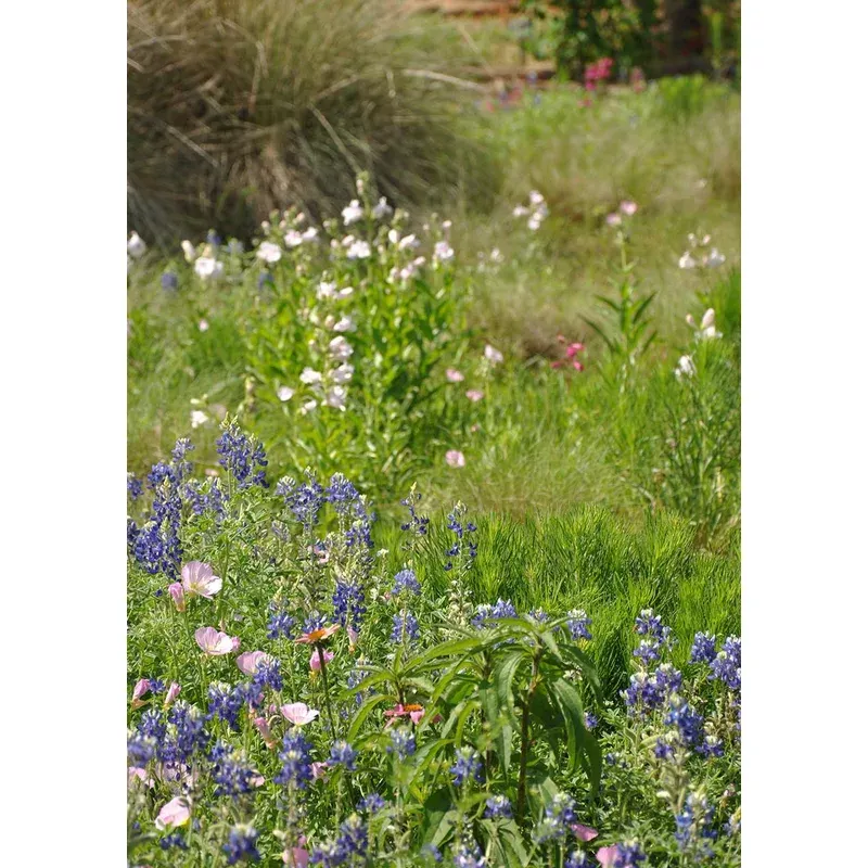 Deer Resistant Mix 2.9oz Seed Pkt