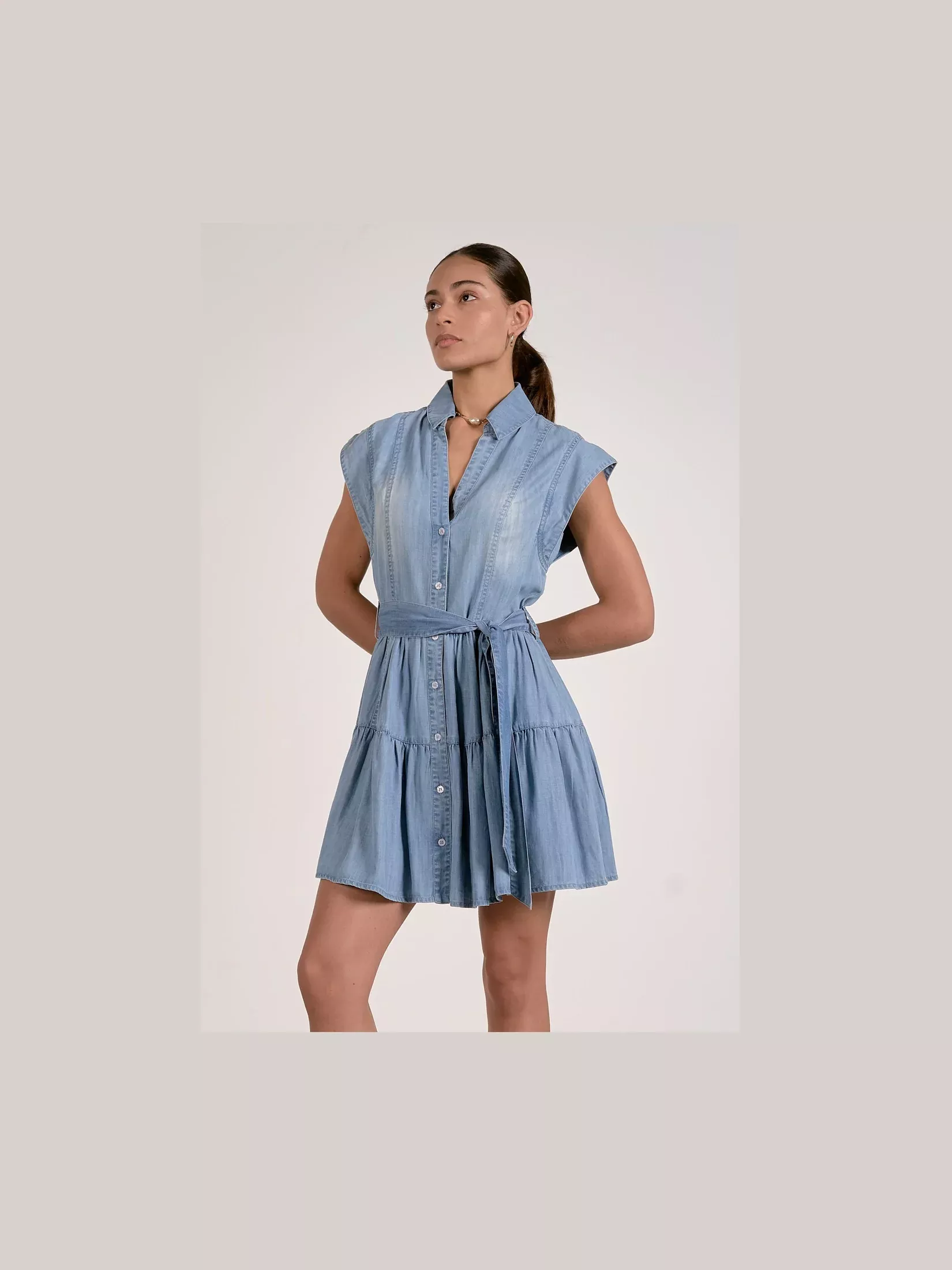 Denim Button Down Dress