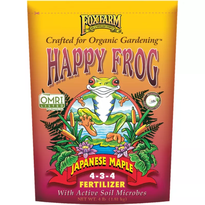 Happy Frog Japanese Maple