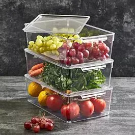 Kitchen Food Storage Containers with Lid – XL Square Organizer