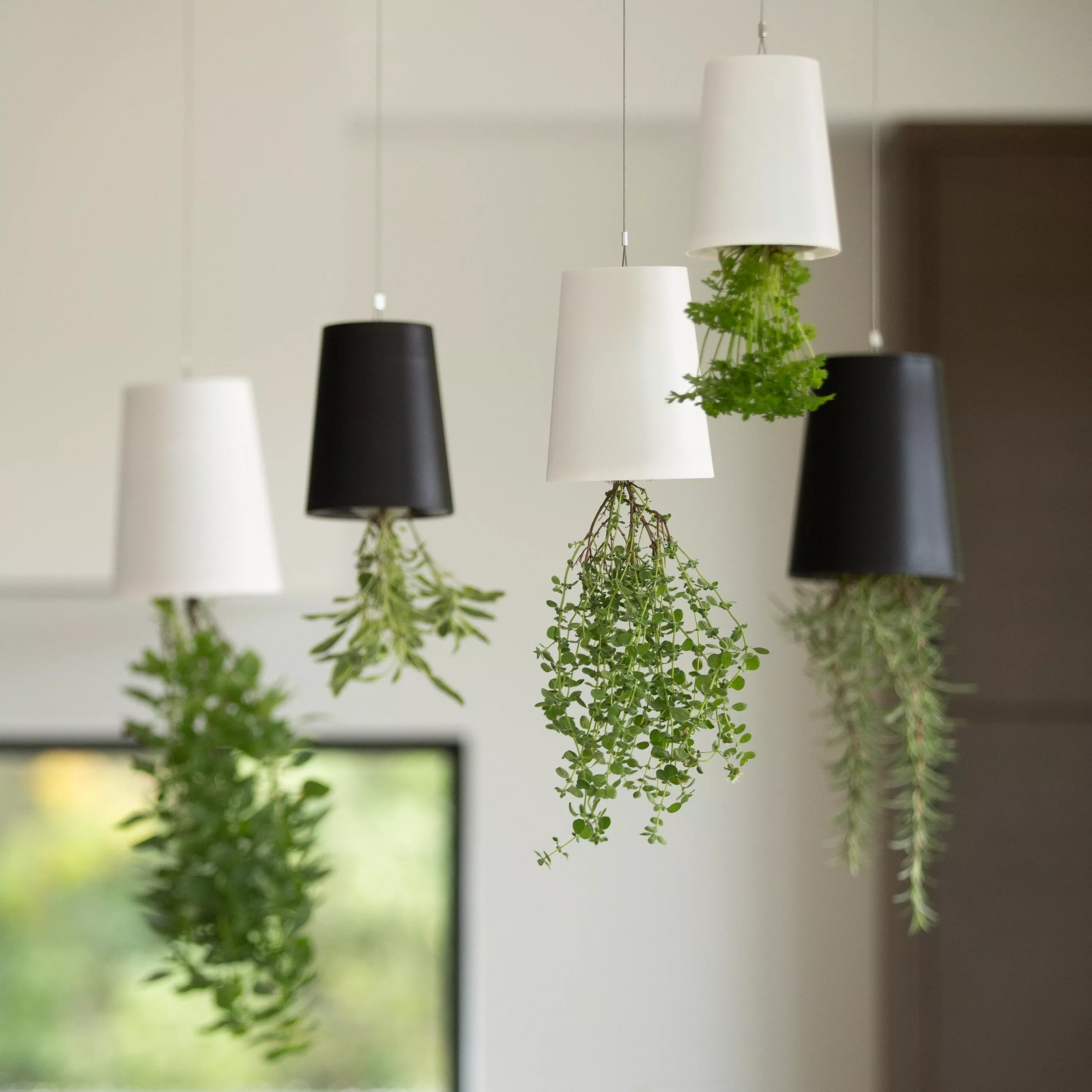 Small Sky Planter