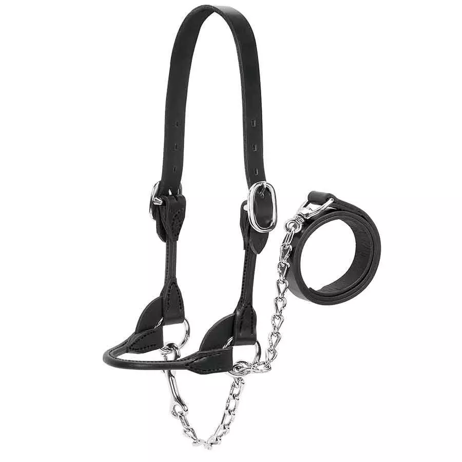 Weaver Classic Style Rounded Show Cow Halter